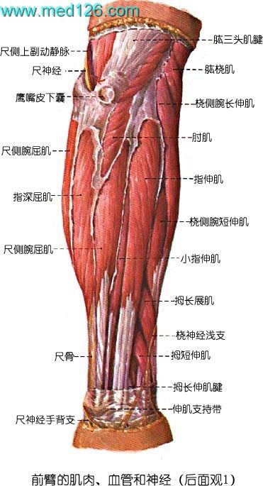 竖横针刺法治疗格林巴利综合症后遗症_钱氏医